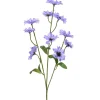 Korenbloem lila 75 cm