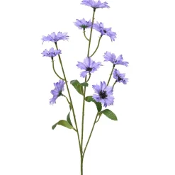 Korenbloem lila 75 cm