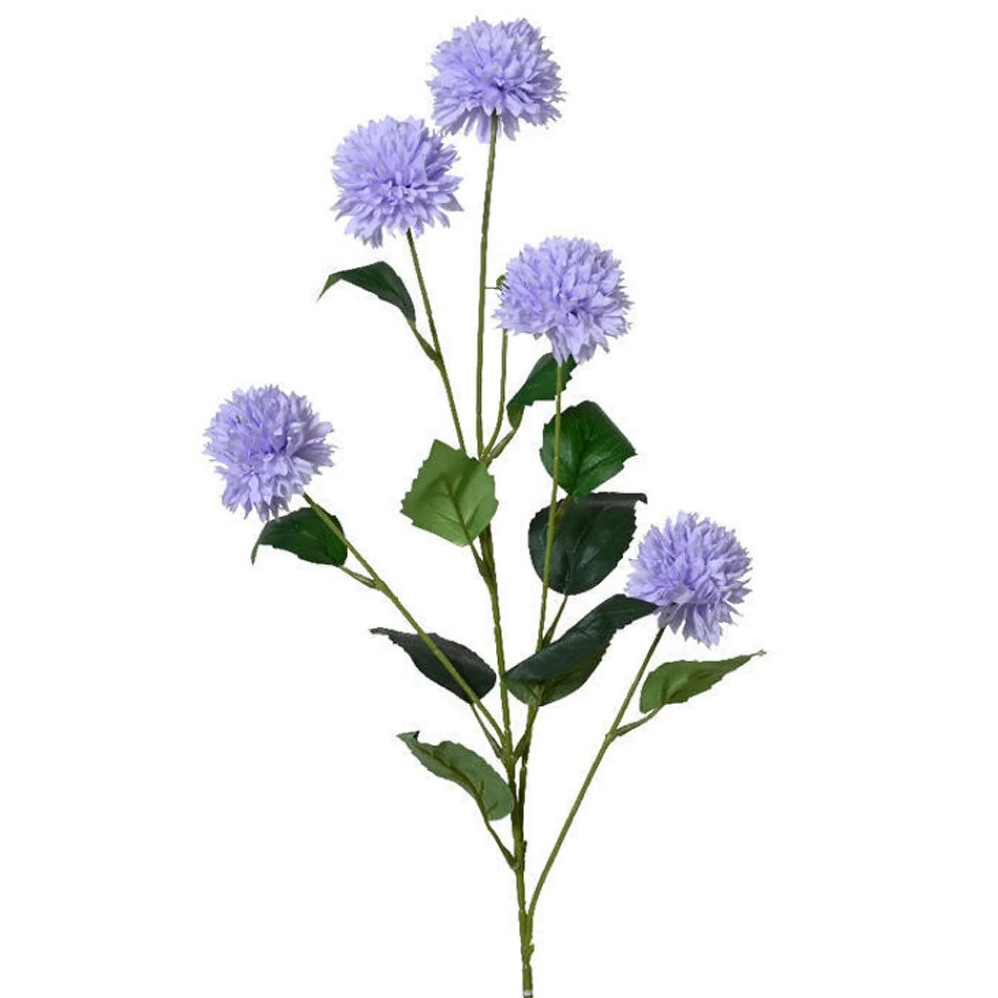 Korenbloem lila 82 cm