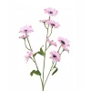Korenbloem roze 55 cm