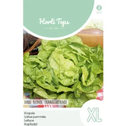 Kropsla dikke blonde traagschietende