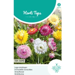 Lage strobloem Tom Thumb