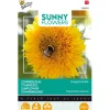 Lage Zonnebloem Sungold dubbelbloemig