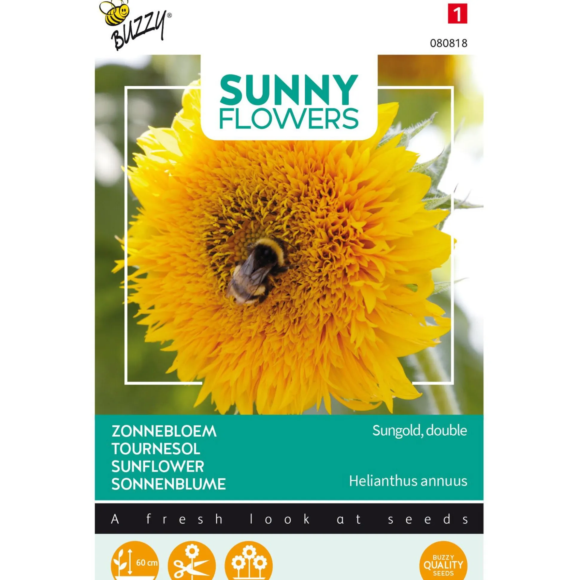 Lage Zonnebloem Sungold dubbelbloemig