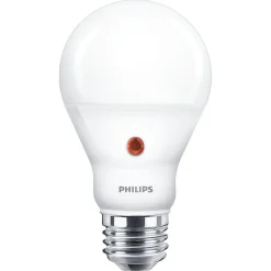 Lamp LED bol mat dag/nacht 60w E27