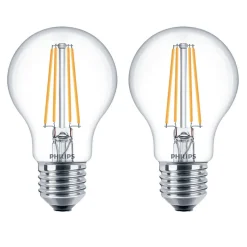 Lamp LED peer helder 60W E27 2st.