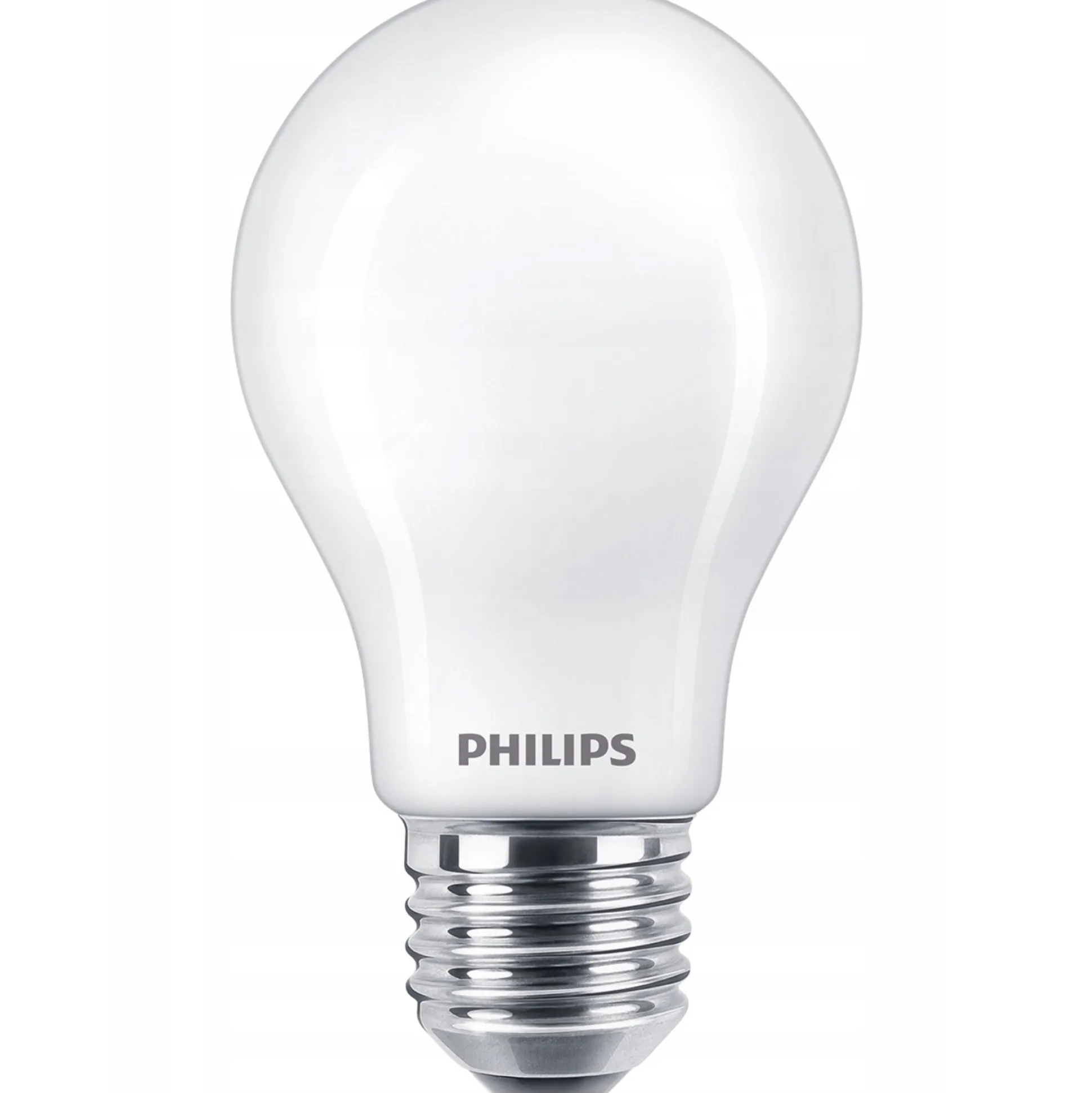 Lamp LED peer mat 100W E27