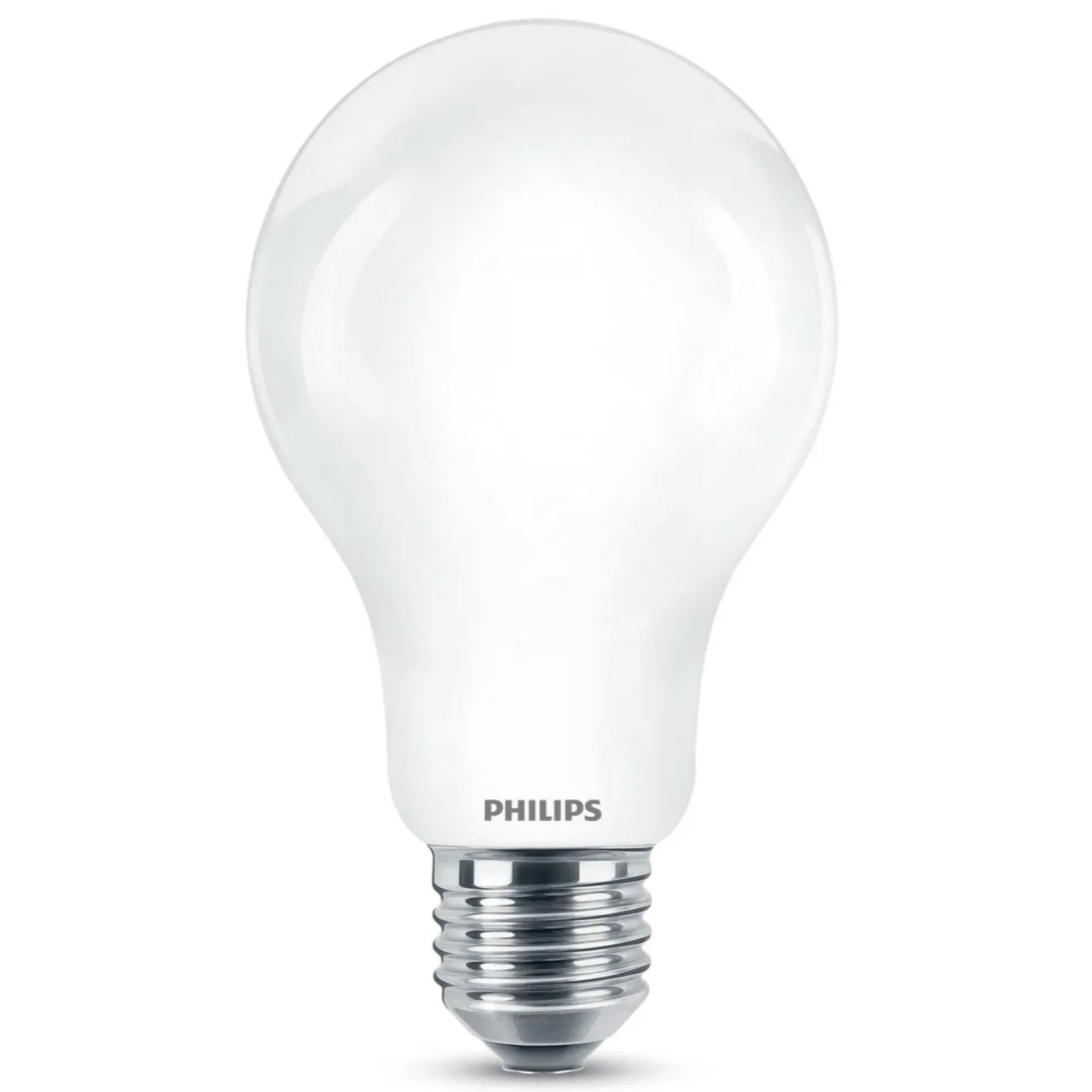 Lamp LED peer mat 120W E27