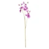Lathyrus op steel paars 60 cm