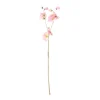 Lathyrus op steel roze 60 cm