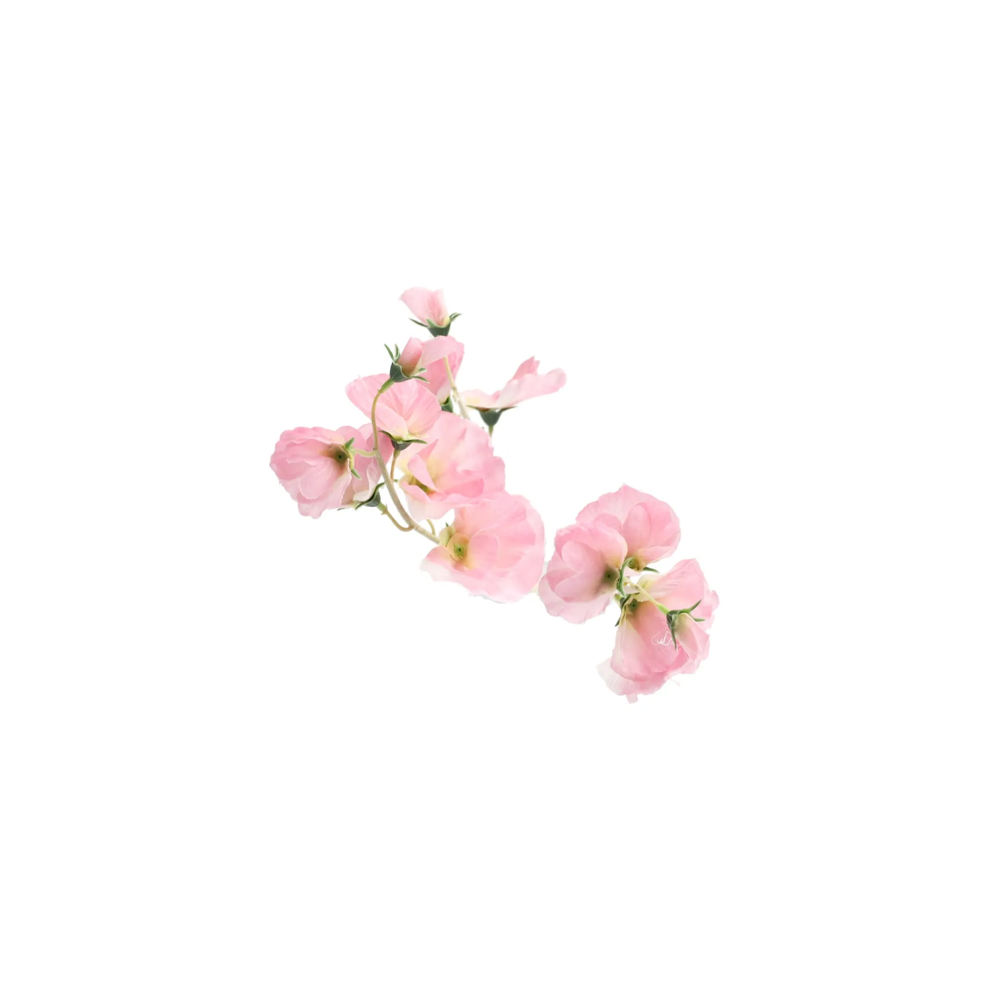 Lathyrus op steel roze 60 cm