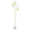 Lathyrus op steel wit 60 cm