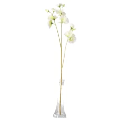 Lathyrus op steel wit 60 cm