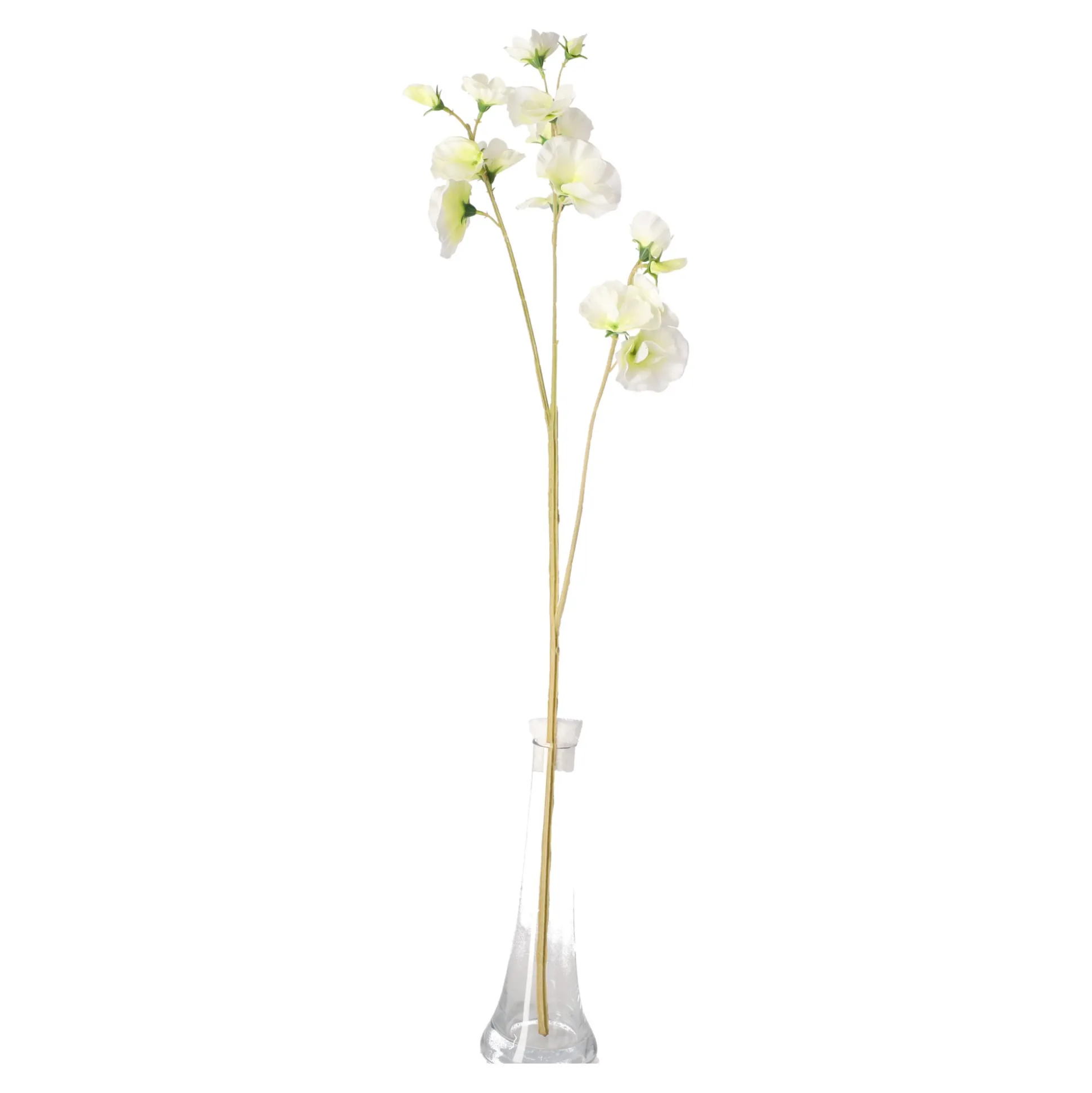 Lathyrus op steel wit 60 cm