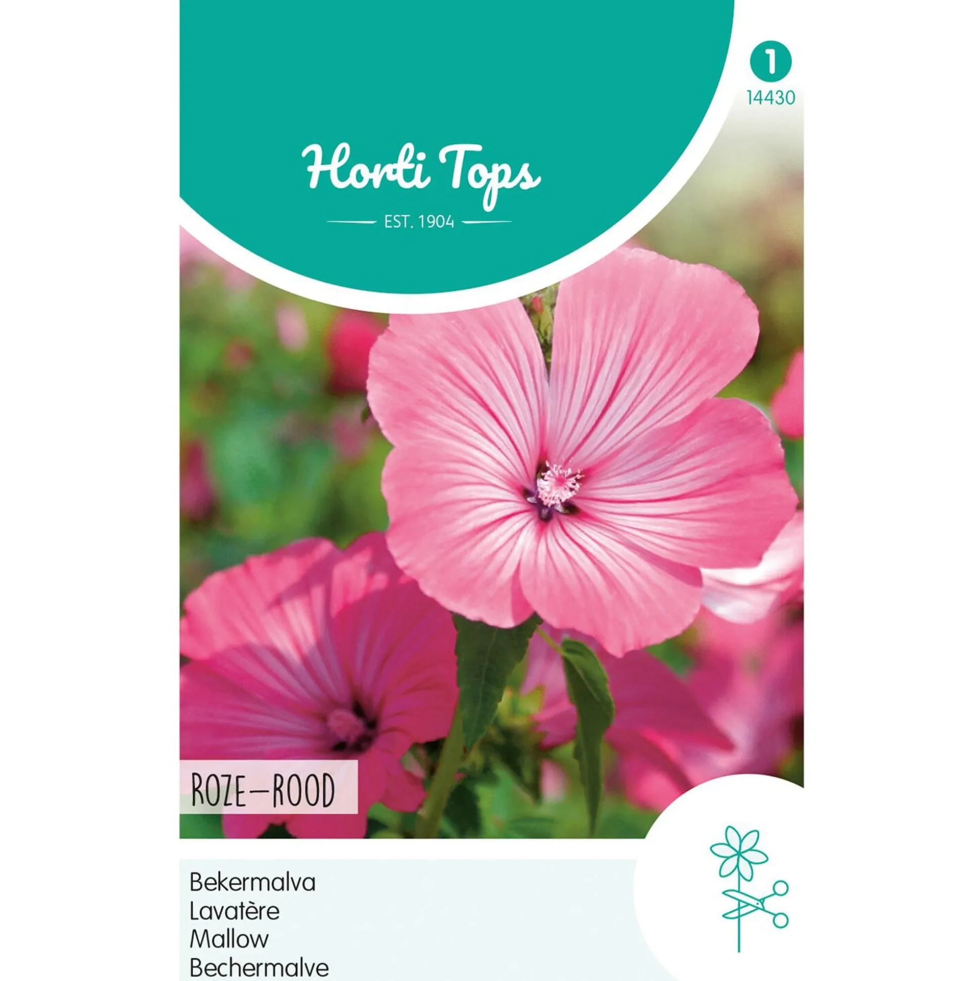 Lavatera rozerood