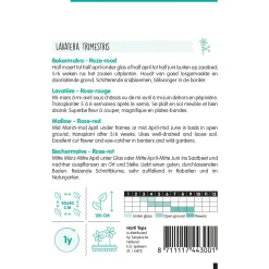 Lavatera rozerood