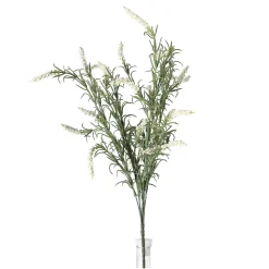 Lavendel 52 cm wit