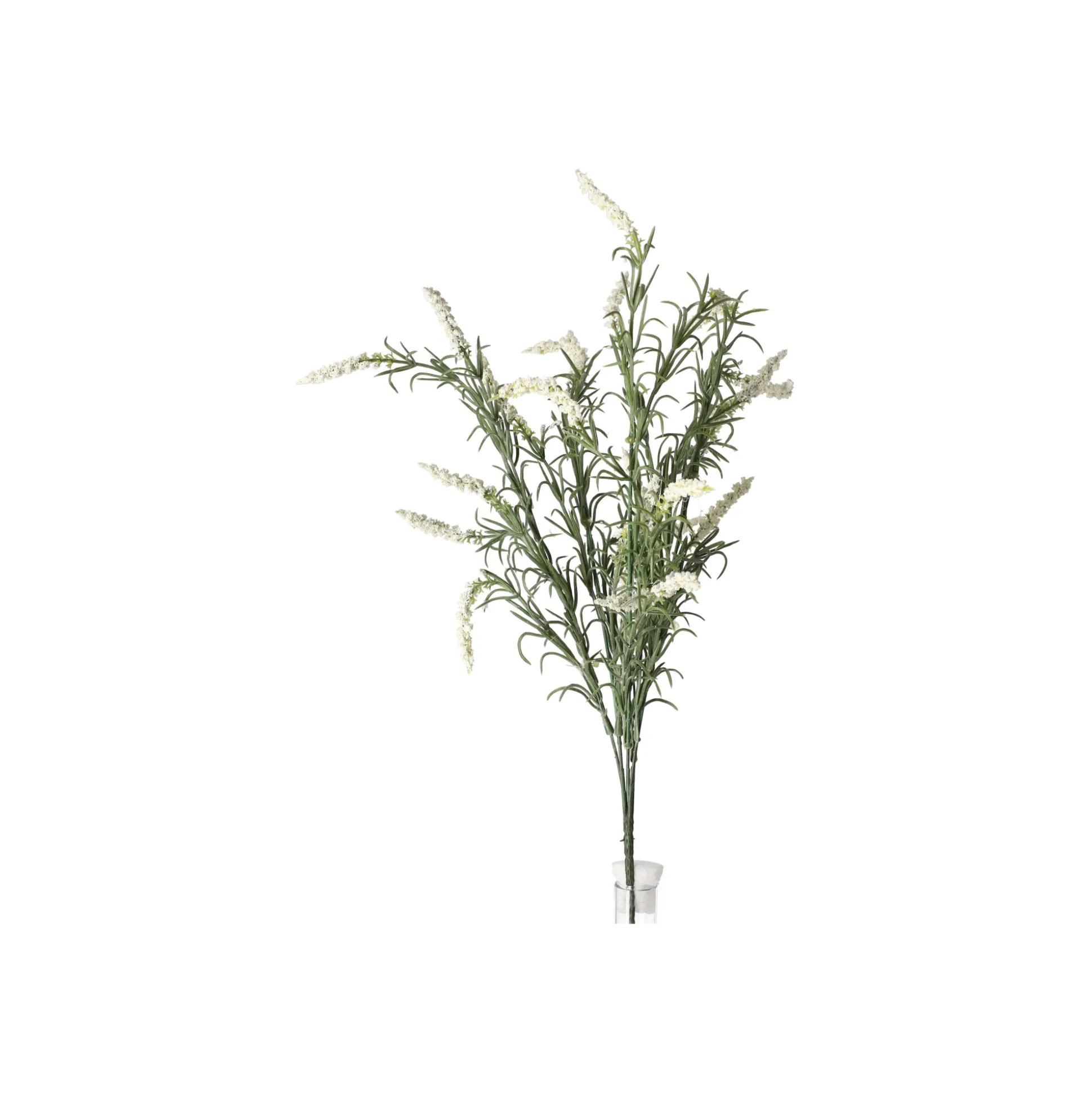 Lavendel 52 cm wit