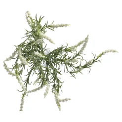 Lavendel 52 cm wit