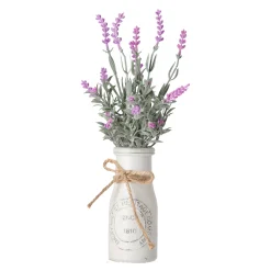 Lavendel in pot 32 cm - 2 assorti
