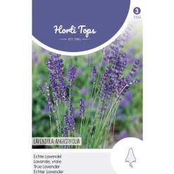 Lavendel zaad