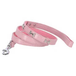 Looplijn bot roze 16mmx120cm