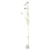 Madeliefje wit 78 cm