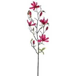 Magnolia donkerroze 75 cm