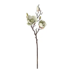 Magnolia enkel 55 cm groen