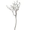 Magnolia tak 93 cm