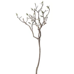 Magnolia tak 93 cm