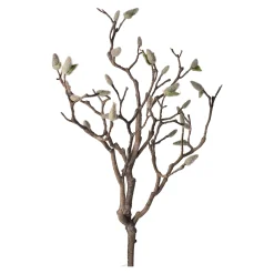 Magnolia tak 93 cm