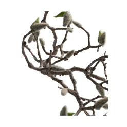 Magnolia tak 93 cm