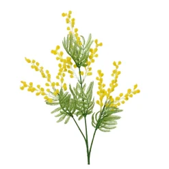 Mimosa geel 67 cm
