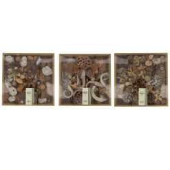 Mix exotisch naturel 25 x 25 x 7 cm
