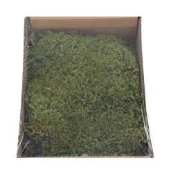 Mos box naturel 150g