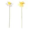 Narcis 39 cm