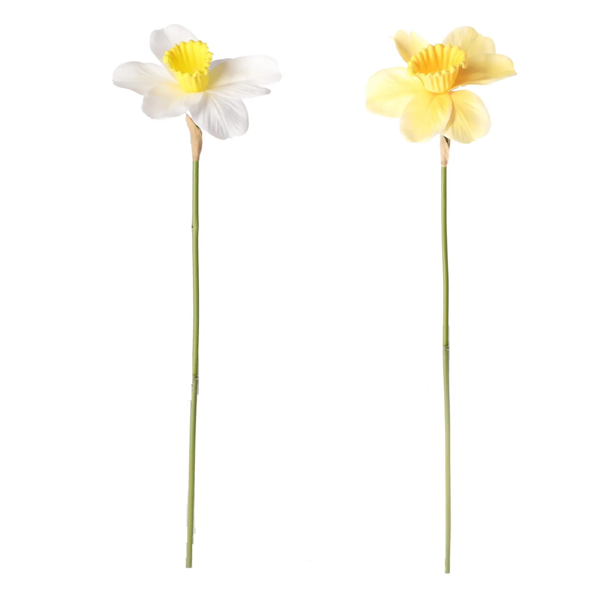 Narcis 39 cm