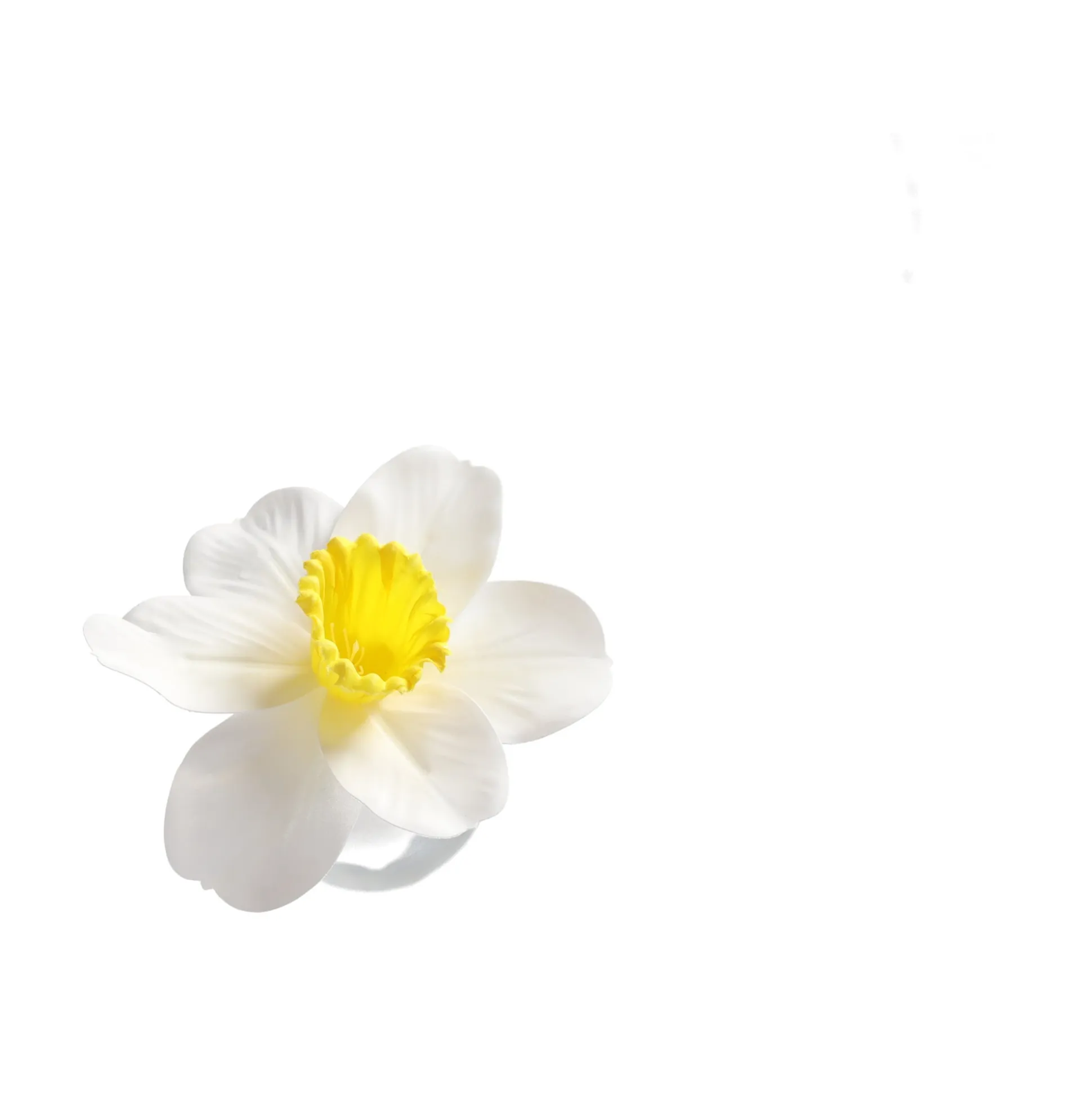 Narcis 39 cm