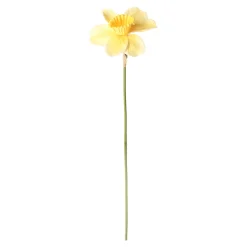 Narcis 39 cm