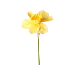 Narcis 39 cm