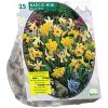 Narcis Mini mix per 25