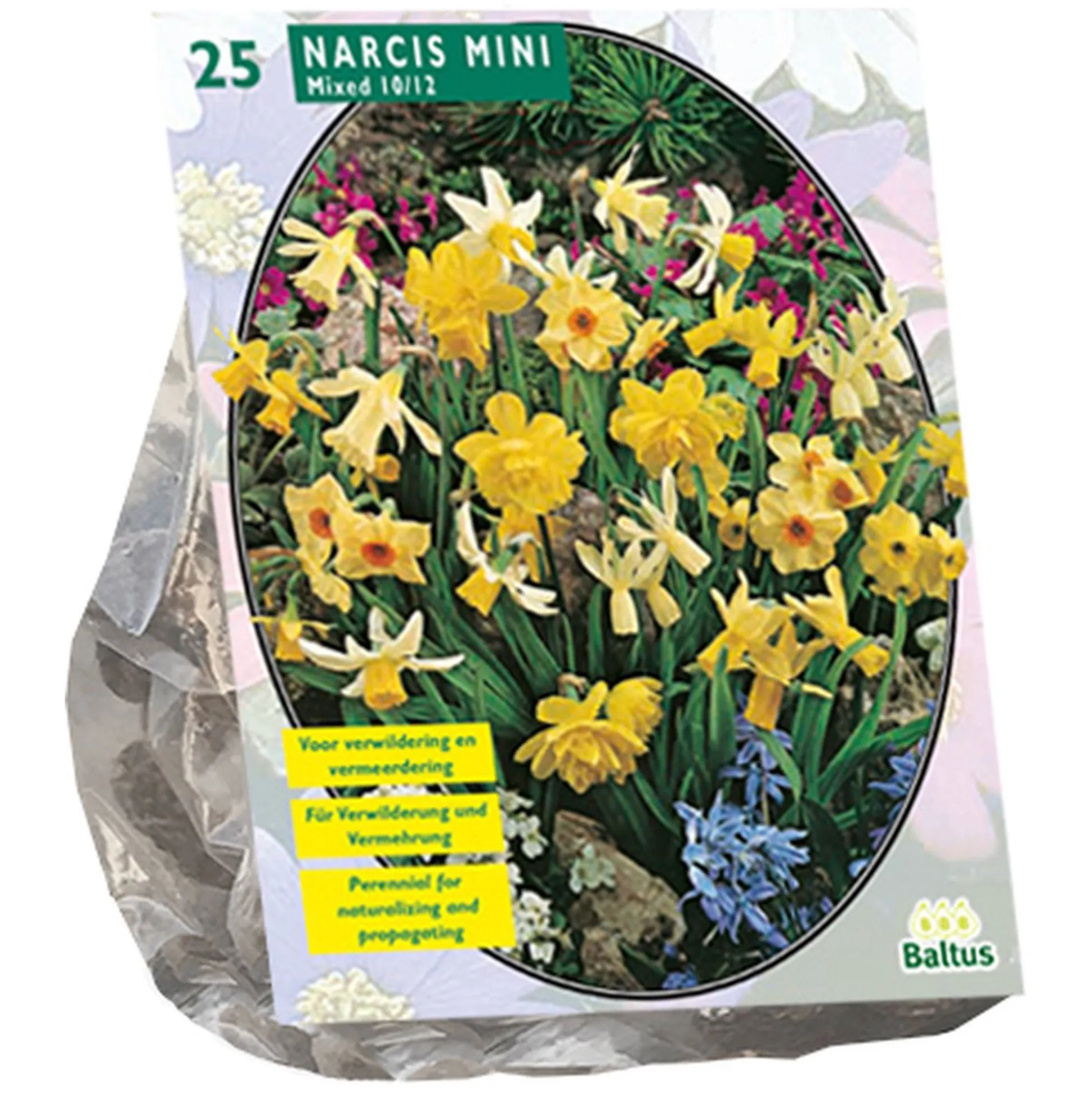 Narcis Mini mix per 25