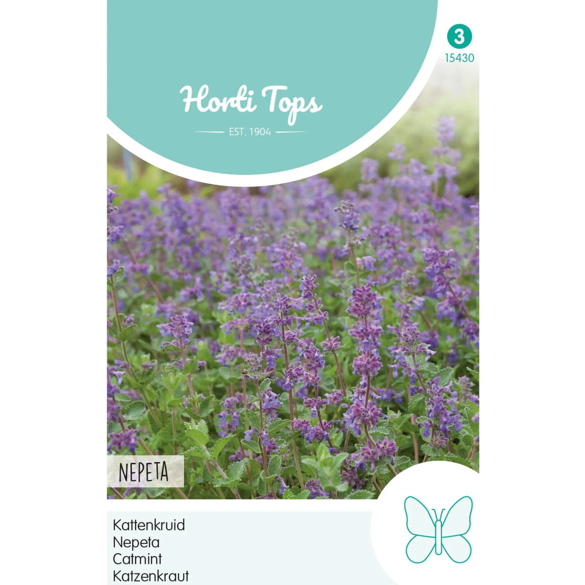 Nepeta kattenkruid