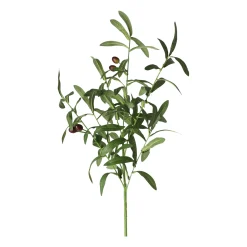 Olijftak 85 cm