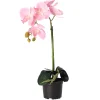 Orchidee 38 cm roze