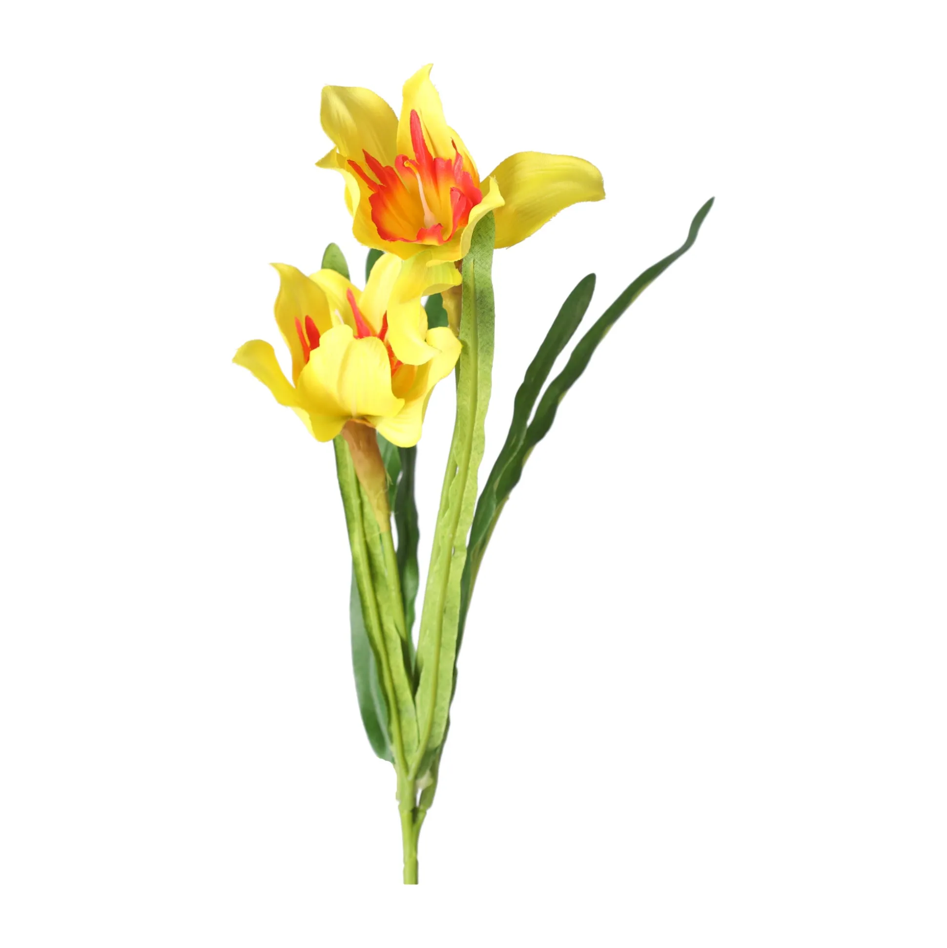 Paasbloemen 58 cm geel, 6 assorti