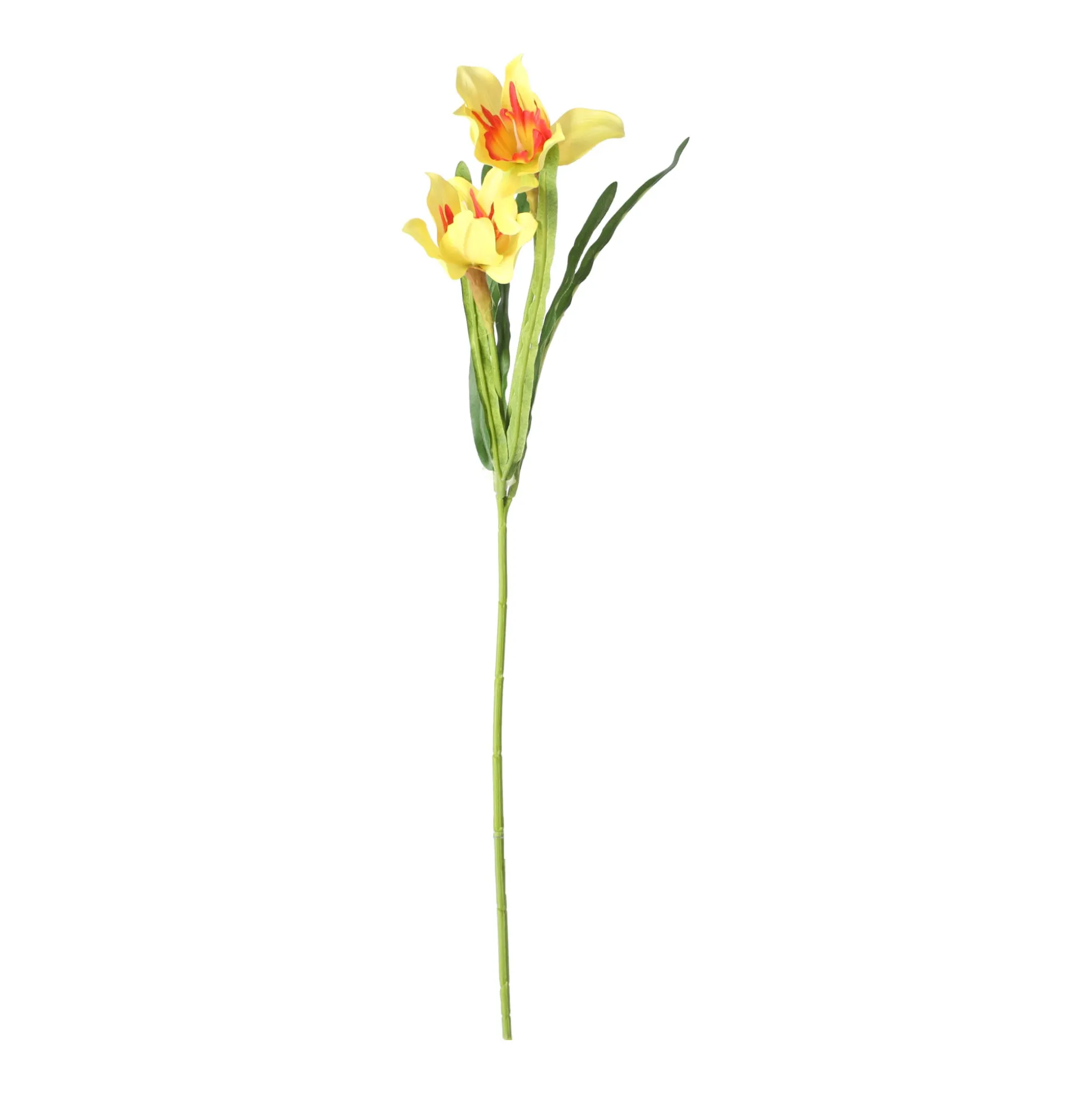 Paasbloemen 58 cm geel, 6 assorti