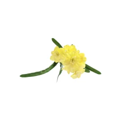 Paasbloemen 58 cm geel, 6 assorti