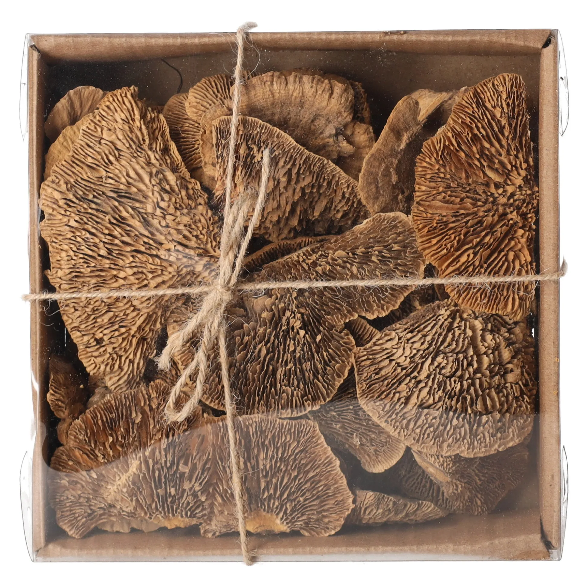 Paddenstoel deco naturel 120g